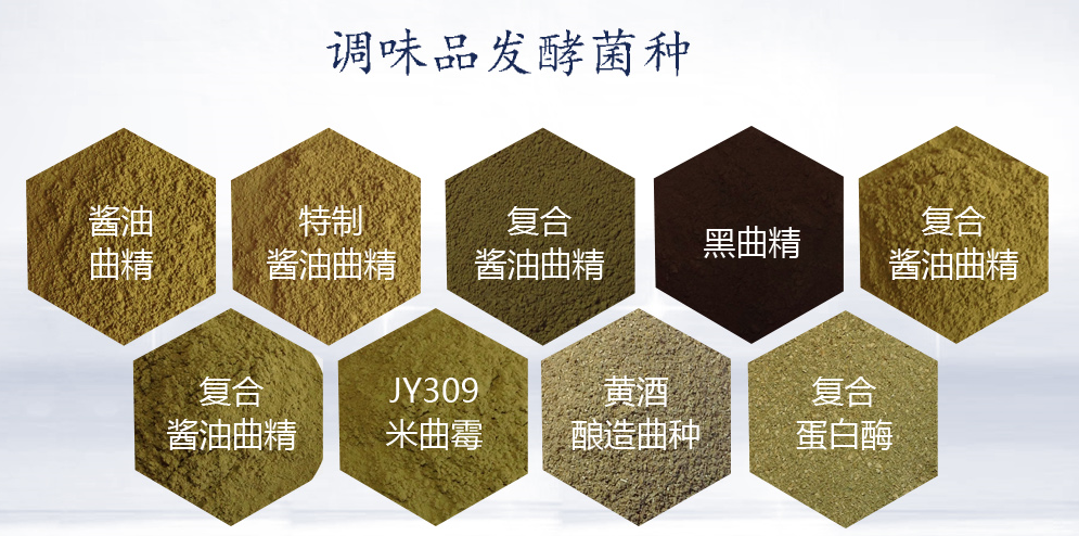 豆豉曲精曲種曲霉 豆豉發(fā)酵劑發(fā)酵