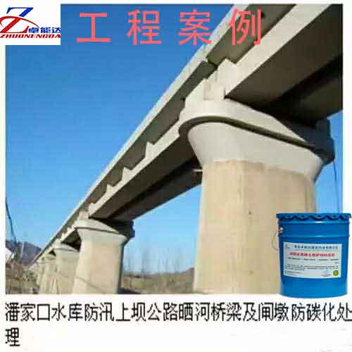 CPC混凝土防碳化涂料防碳化平色差修補(bǔ)防腐防水