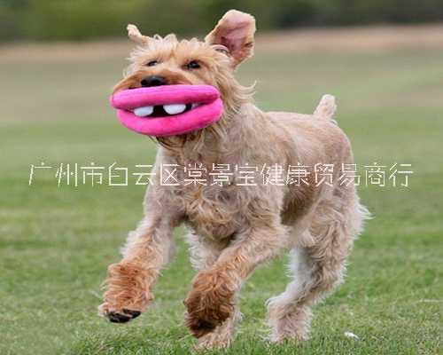 豆腐貓砂粘合劑豆腐渣粘結(jié)劑 水晶膨潤土貓砂增粘劑增稠劑 無粉塵  無臭無味