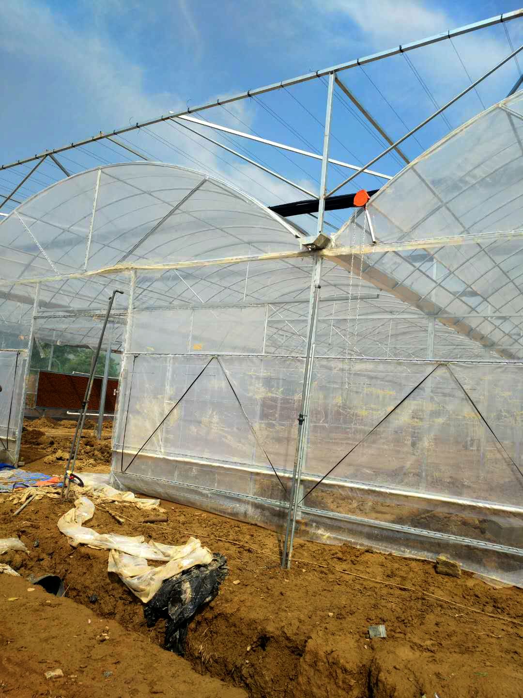 單層連棟薄膜溫室、薄膜溫室價(jià)格 單層連棟薄膜溫室造價(jià)