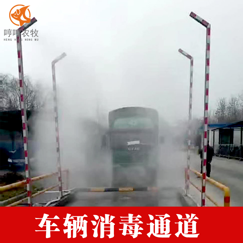 邁瑞森車輛消毒通道 飼料廠豬場(chǎng)養(yǎng)殖場(chǎng)車輛消毒防疫噴霧噴淋設(shè)備