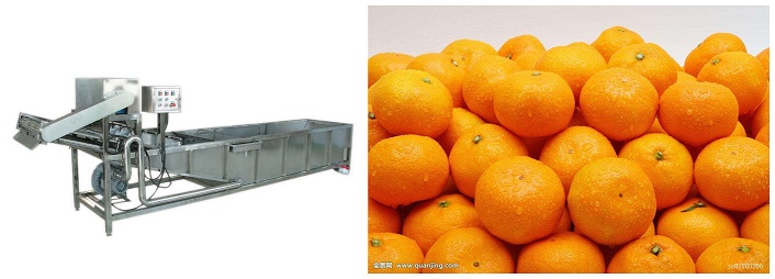 諸城冠通機(jī)械供應(yīng)辣椒清洗機(jī) 果蔬清洗機(jī)