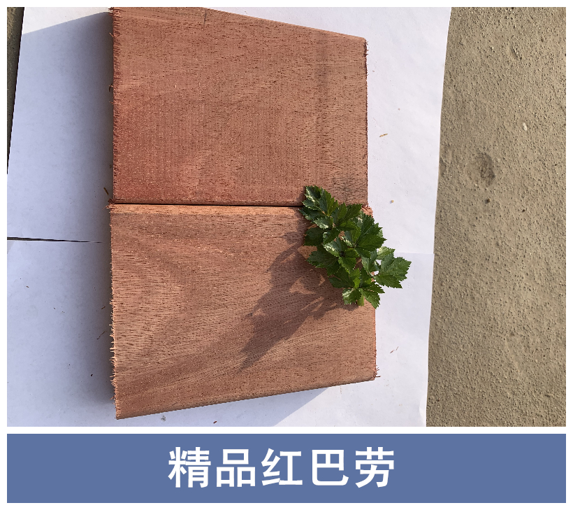 新疆*紅巴勞工廠直銷