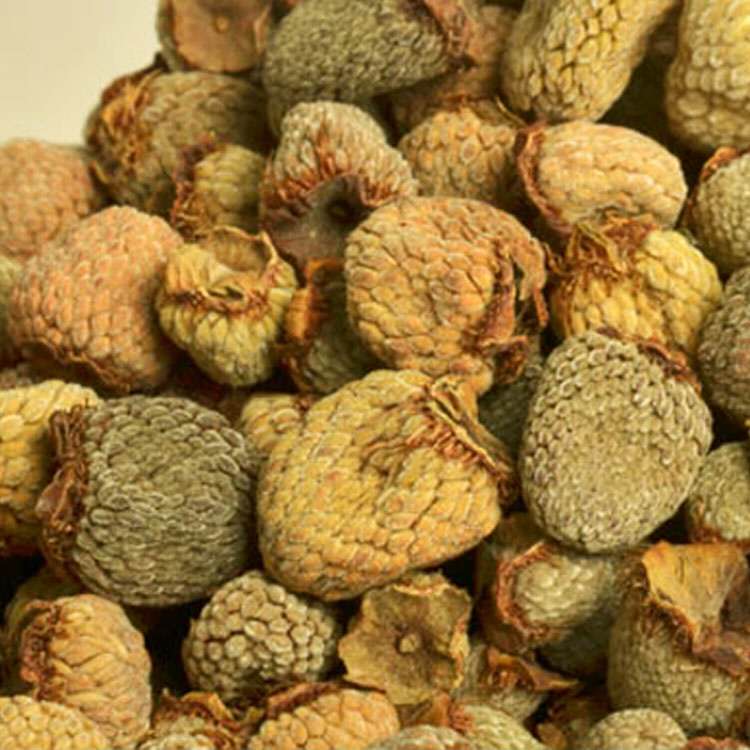 江西紅樹莓（覆盆子）干果營養(yǎng)價值，紅樹莓干果批發(fā)基地