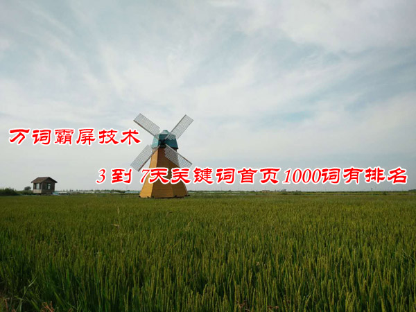 你一定要知道的服裝店網(wǎng)絡(luò)推廣方法