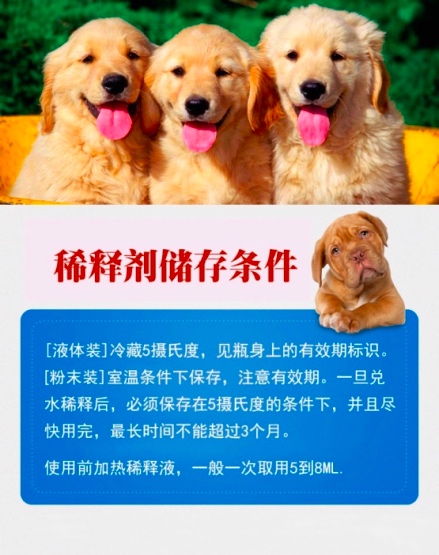 狗精子稀釋液 犬用鮮精稀釋劑