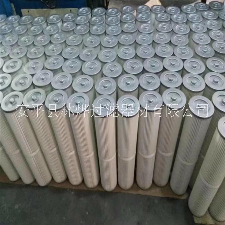 供應(yīng)濾芯  鉆井機除塵濾芯 倉頂除塵濾芯廠家生產(chǎn)