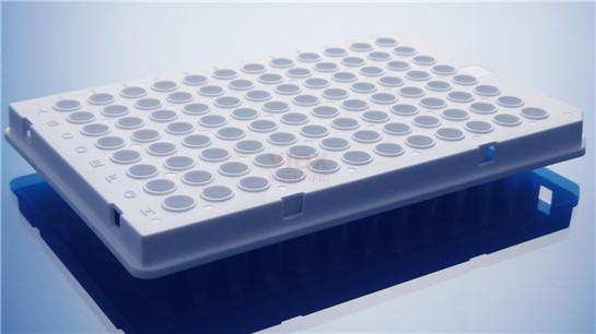 Roche480*PCR96孔
