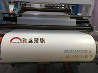 供應啞光膜亞光膜PET啞光PET膜啞光PET薄膜啞光聚酯