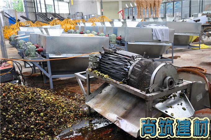 新型方形青皮核桃去皮清洗機(jī)價(jià)格