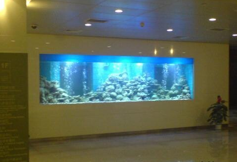廣州魚缸設(shè)計(jì)、越秀區(qū)魚缸定制、大新上門訂做魚缸