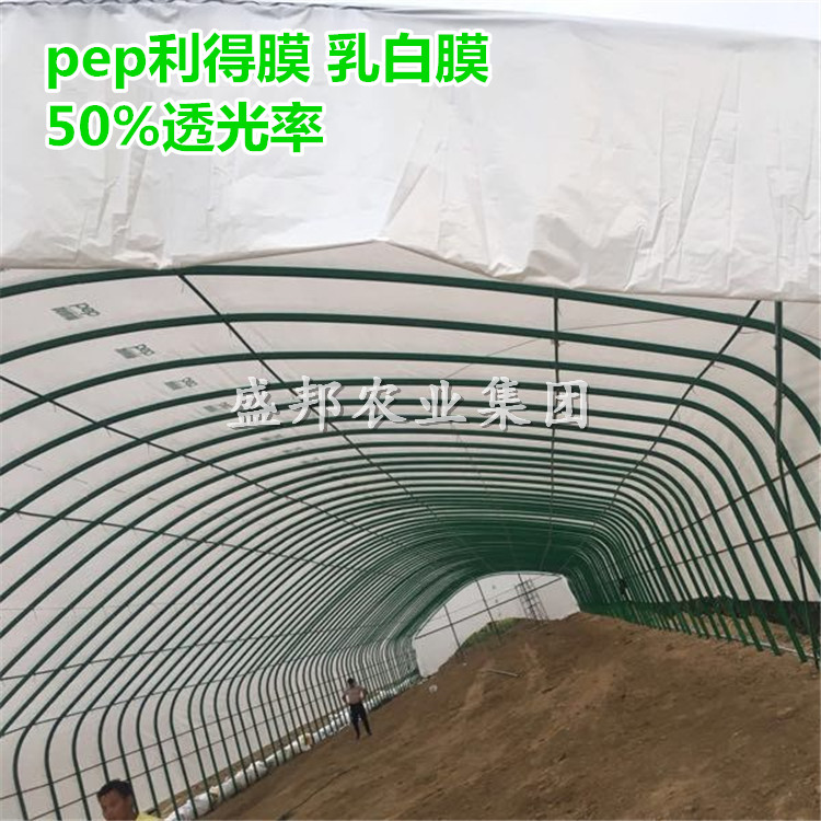 8絲PEP乳白膜 利得膜  50%透光率  連棟溫室四周遮陽使用