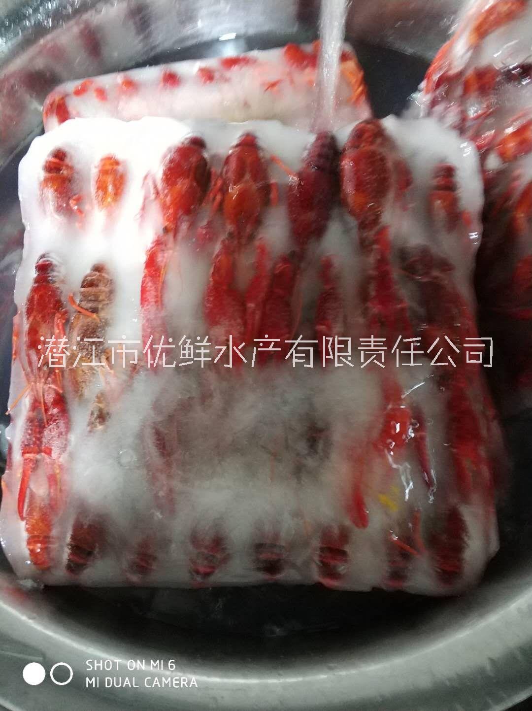 安徽合肥 凍蝦 廠家直銷