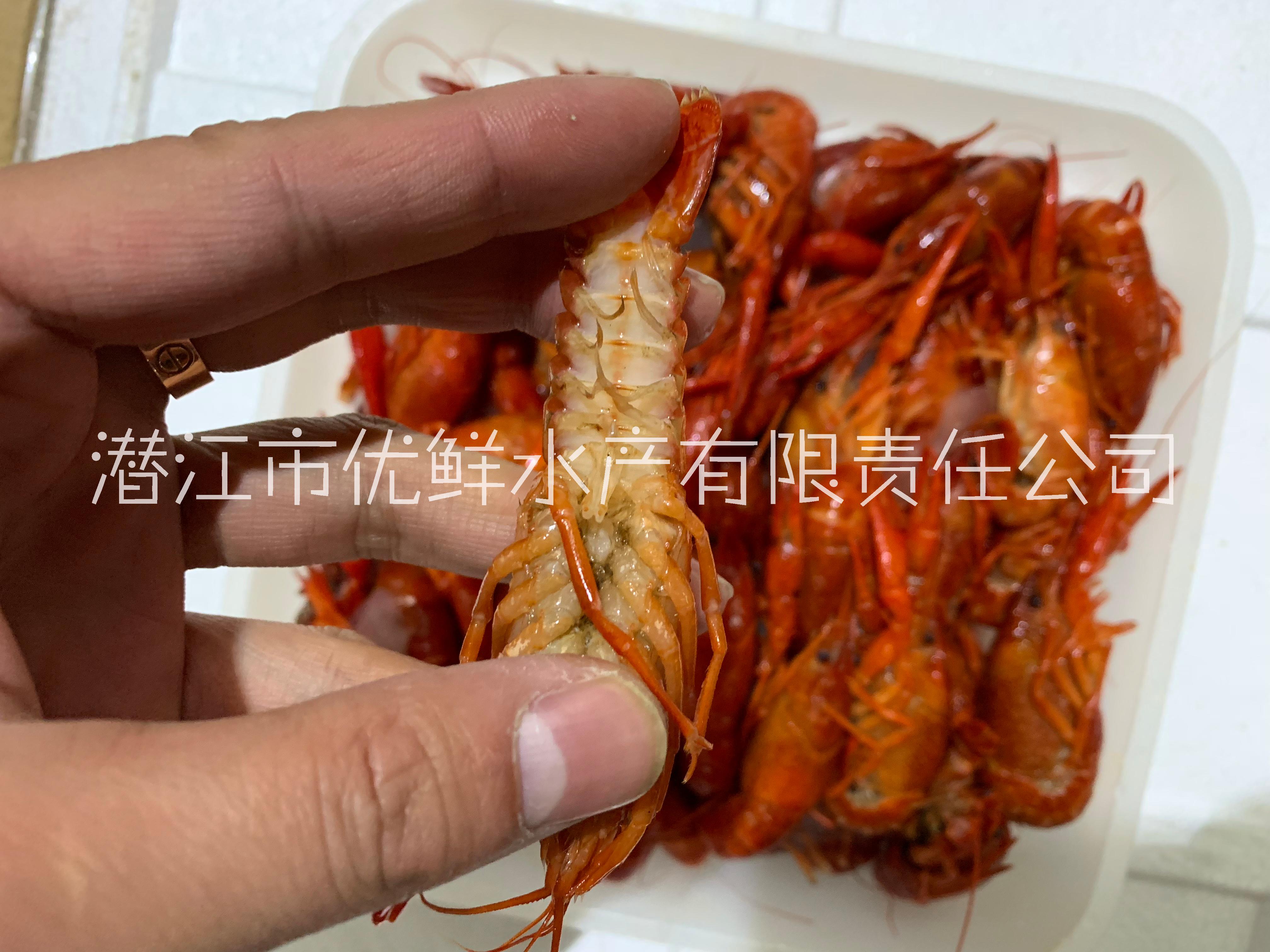 安徽合肥 凍蝦 廠家直銷