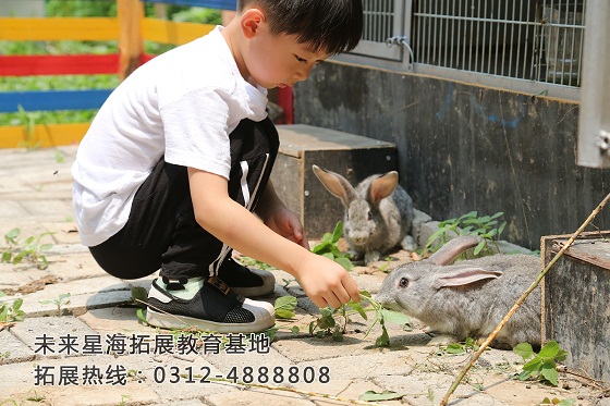 保定未來星海拓展培訓，戶外拓展訓練，保定野外生存訓練