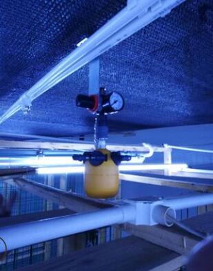 干霧器 廠家直銷干霧器 二流體氣水霧化干霧加濕器 食用菌加濕器