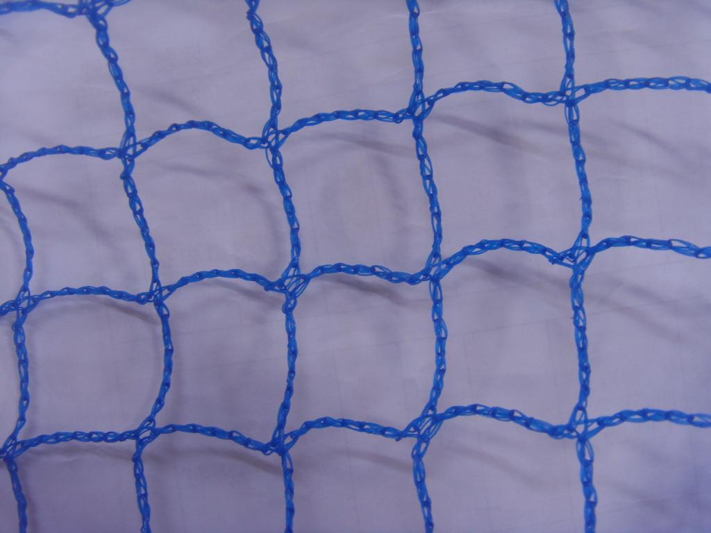 湖南防鳥網(wǎng)-優(yōu)質(zhì)生產(chǎn)廠家-湖南鑫海股份有限公司