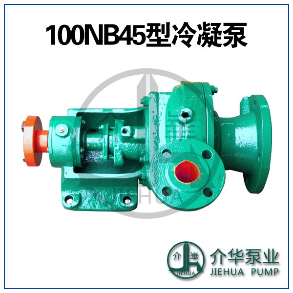 100NB45型汽輪發(fā)電機(jī)用冷凝泵