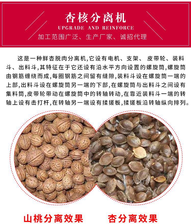 豫滎致富農(nóng)業(yè)機(jī)械安全可靠 鮮杏核肉豫滎致富農(nóng)業(yè)機(jī)械安全可靠