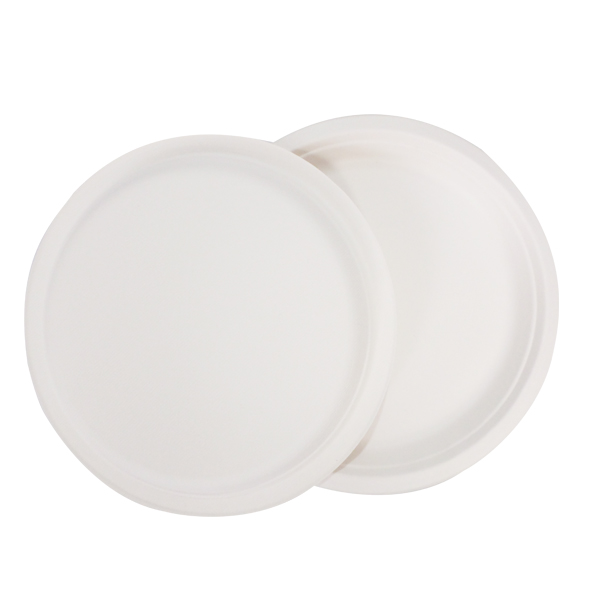 奇正 HZ-012 一次性盤子9寸 20只/包 50包/箱