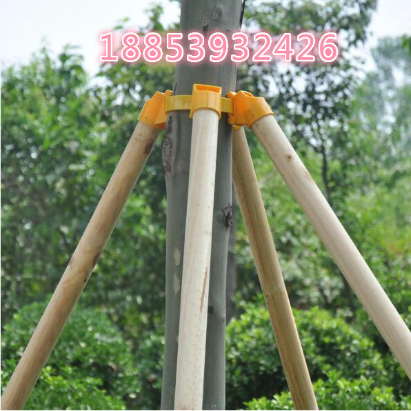 楊木綠化桿/生產(chǎn)廠家/批發(fā) 山東楊木綠化桿廠家 山東菏澤廠家直銷純楊木綠化桿 園林必備楊木綠化桿