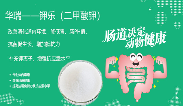 二*鉀在飼料中的添加量 鉀樂-二*鉀 鉀樂二*鉀