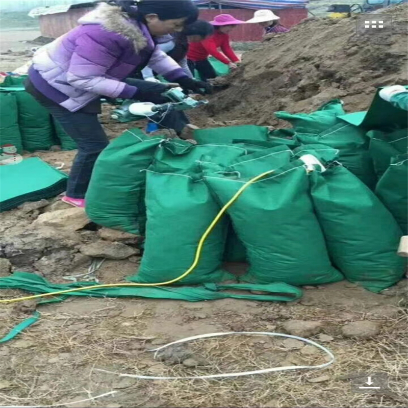 河道綠化護(hù)坡生態(tài)袋規(guī)格與尺寸