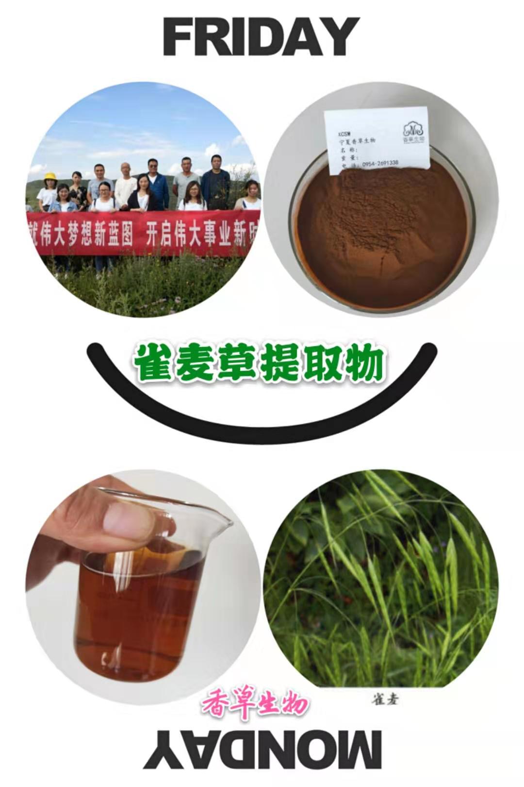 八寶景天提取物廠家報(bào)價(jià)/八寶景天粉批發(fā)商