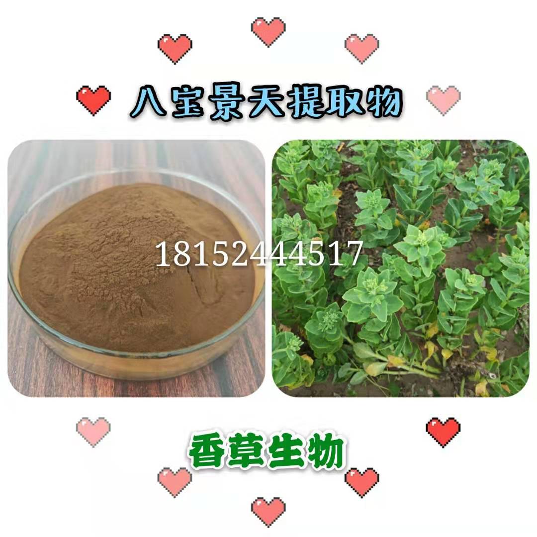 八寶景天提取物廠家報(bào)價(jià)/八寶景天粉批發(fā)商