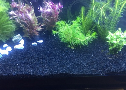 黑金沙垃圾桶煙灰缸黑色石英砂滅煙沙造景黑沙魚缸沙底砂水草沙子 黑金砂