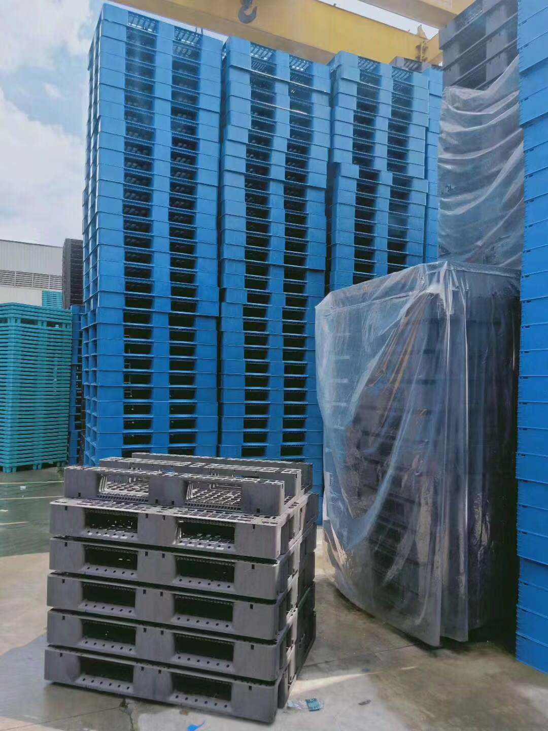 深圳二手塑料卡板 二手塑料卡板廠家直銷  二手塑料卡板銷售回收報(bào)價(jià)電話 塑料棧板回收 二手塑料卡板