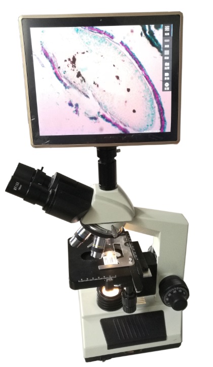 濰坊DNX-1植物病蟲害檢測設(shè)備_病蟲害檢測設(shè)備價格_廠家價格表