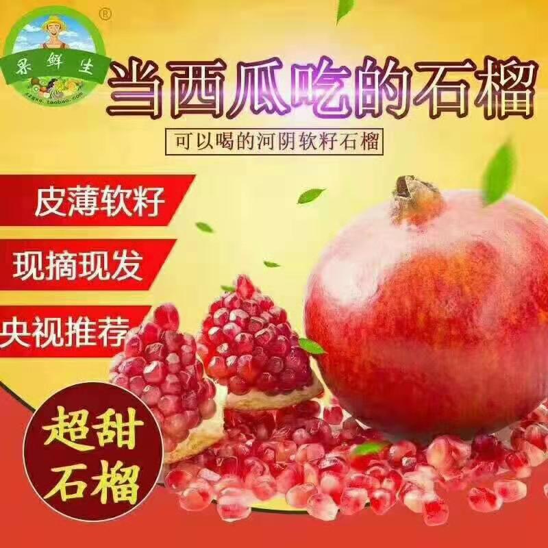 河陰石榴種植—河陰石榴供應(yīng)商—河陰石榴批發(fā)商