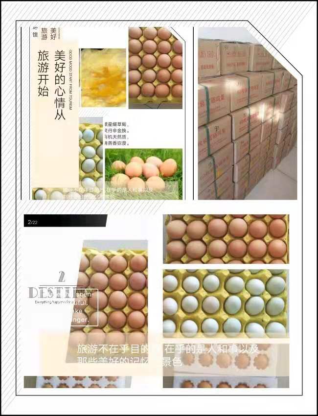 富硒雞蛋 富硒笨雞蛋