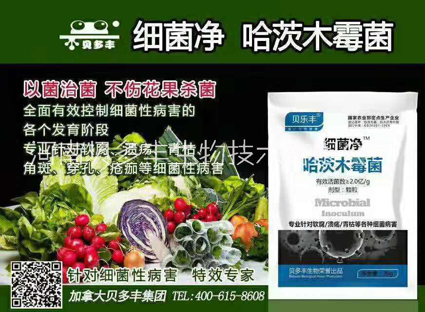 潰瘍病殺菌劑價格_柑橘潰瘍病殺菌劑_果樹潰瘍病殺菌劑