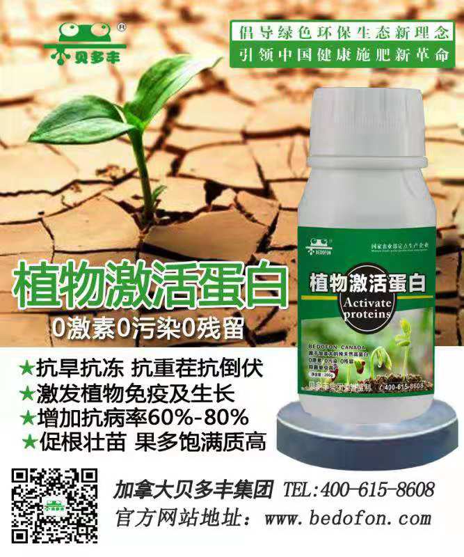 植物*素廠家_植物生長*素作用_植物*蛋白