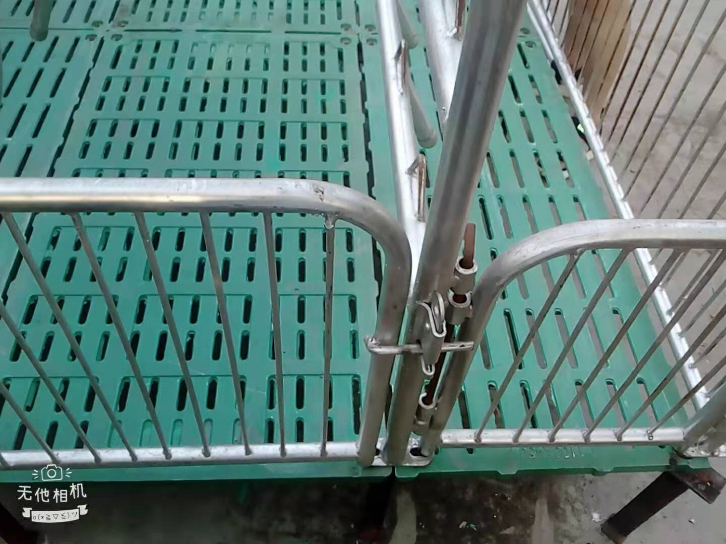 滄州騰碩母豬產(chǎn)床雙體分娩保育床