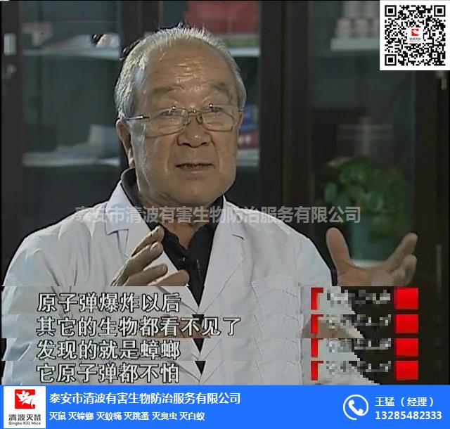 泰安清波泰安滅蟑螂的抗藥性