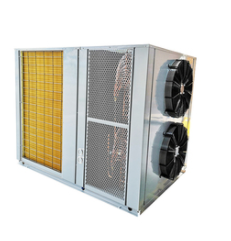 檸檬片烘干機(jī) 檸檬片干燥機(jī) 檸檬片干化機(jī)-廠房-烘干設(shè)備