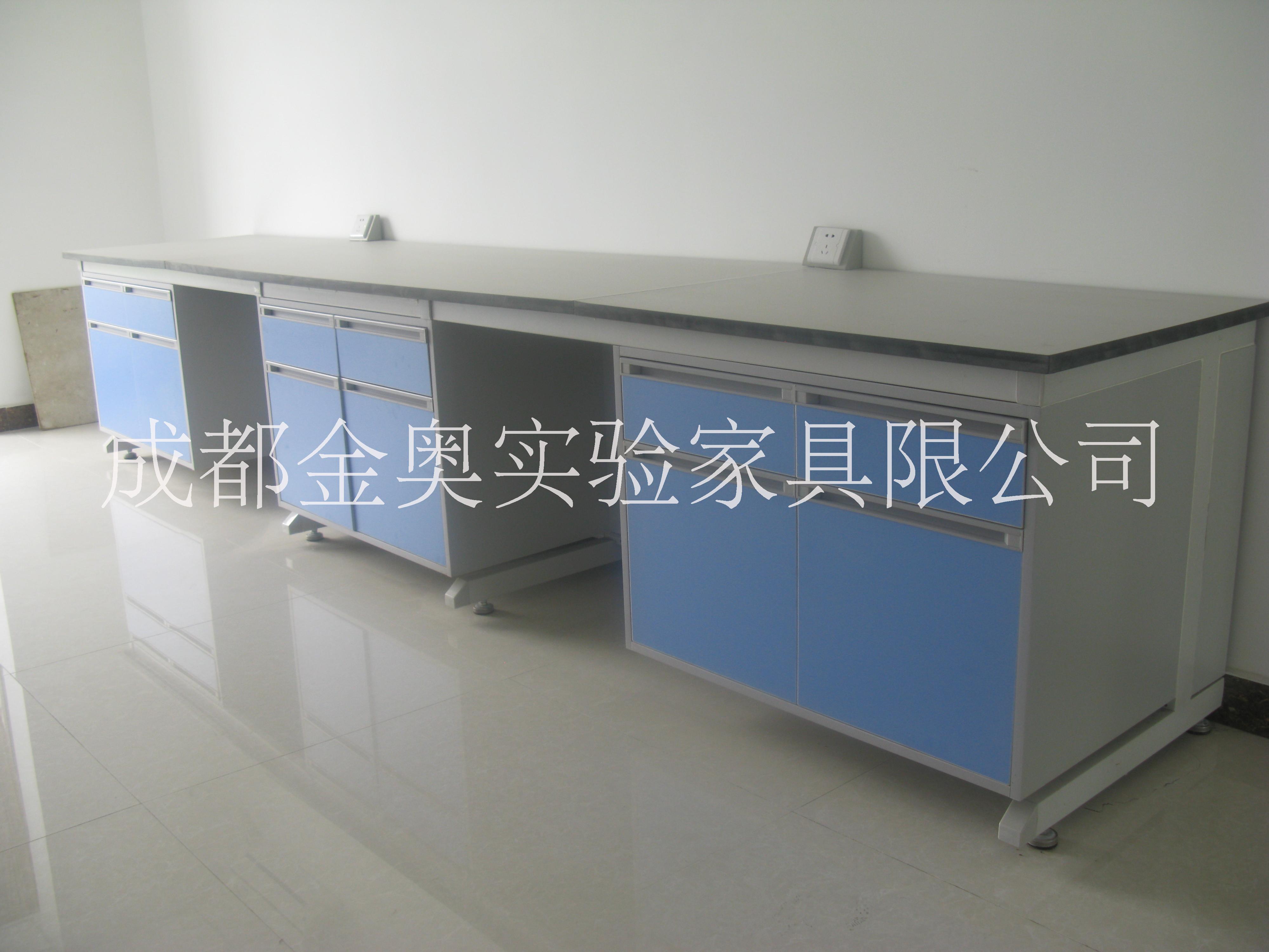 成都通風(fēng)柜成都實(shí)驗(yàn)家具四川實(shí)驗(yàn)臺(tái)四川通風(fēng)柜 不銹鋼實(shí)驗(yàn)桌