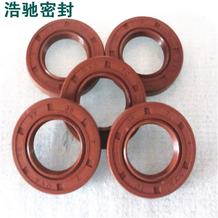 廠家直銷 耐高溫防腐蝕氟膠骨架油封 耐高溫氟膠油封 骨架油封