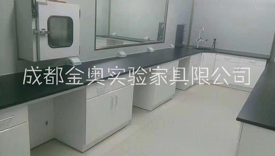 四川*通風(fēng)柜  *藥品柜   *器皿柜   *中央實(shí)驗(yàn)臺(tái) 成都實(shí)驗(yàn)室家具