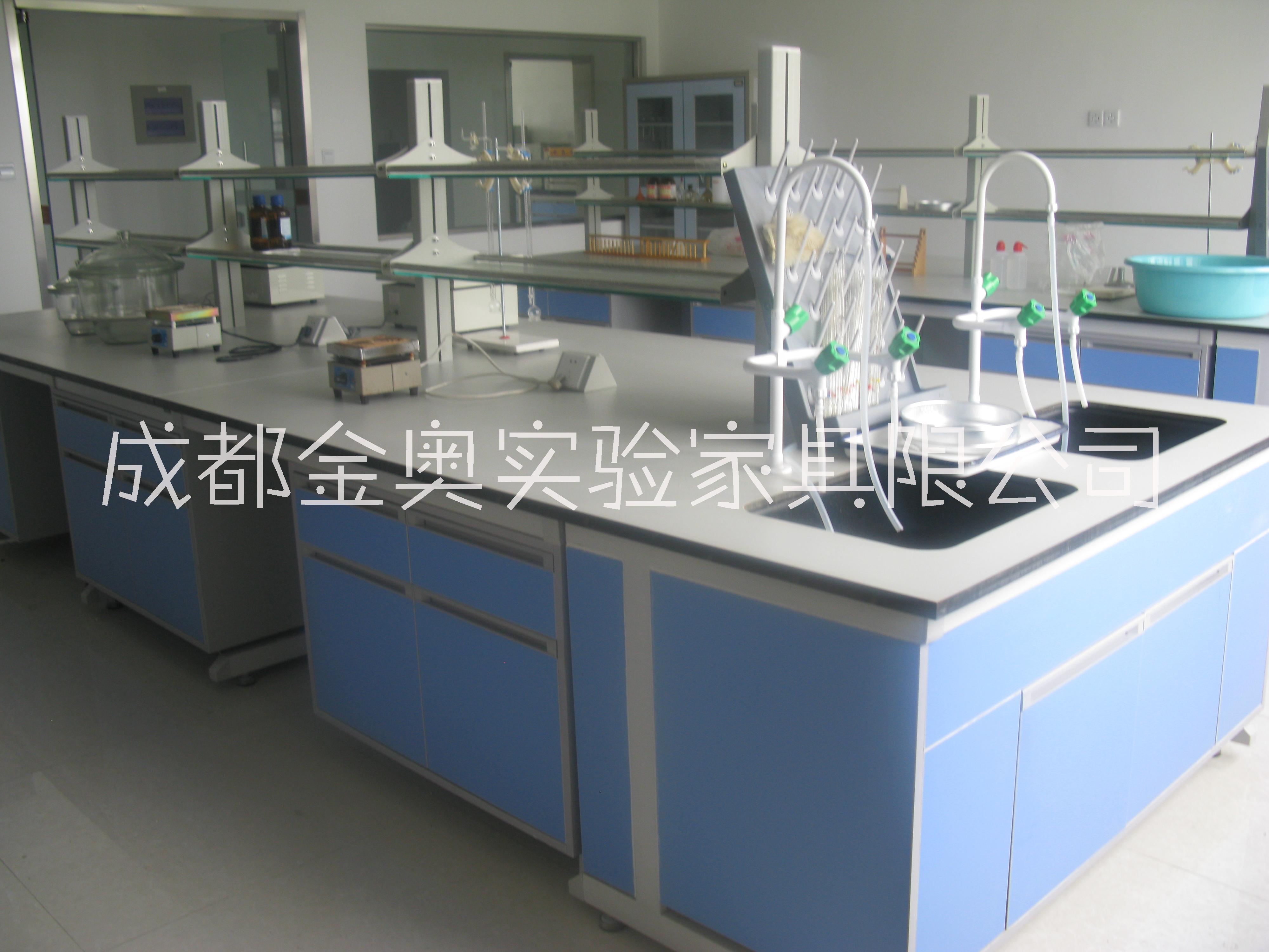 四川實(shí)驗(yàn)臺(tái)  醫(yī)院通風(fēng)柜  實(shí)驗(yàn)家具  藥品柜 器皿柜 實(shí)驗(yàn)家具實(shí)驗(yàn)臺(tái)