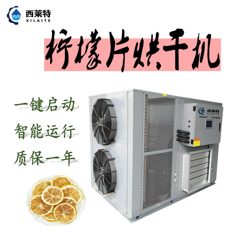 檸檬片烘干機(jī) 檸檬片干燥機(jī) 檸檬片干化機(jī)-廠房-烘干設(shè)備