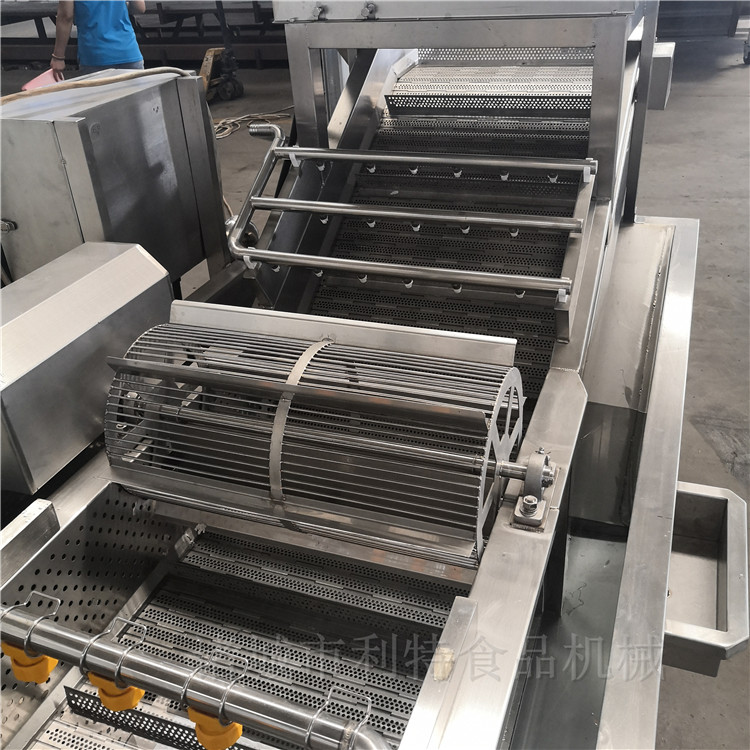 大白菜清洗機(jī)，多功能洗菜機(jī)，氣泡式白菜清洗設(shè)備