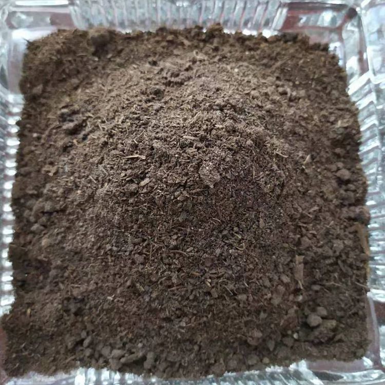 陜西周至哪里能買(mǎi)到質(zhì)量好的發(fā)酵羊糞有機(jī)肥 種獼猴桃用發(fā)酵羊糞效果怎么樣