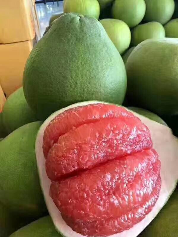 出售泰國(guó)紅心青柚苗