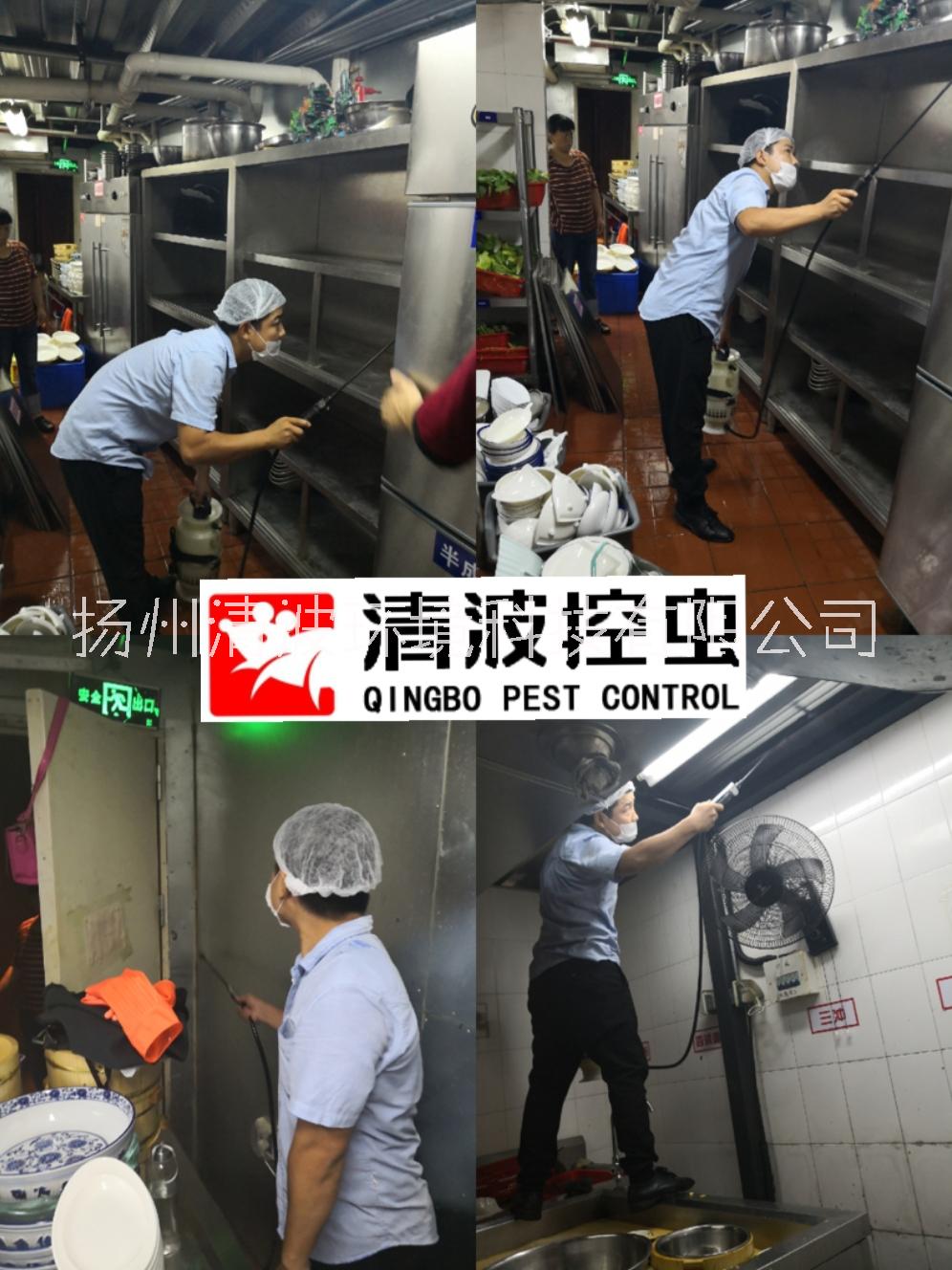 丹陽 揚(yáng)中 句容 滅蟑螂 殺蟑螂 滅蟑螂公司 殺蟑螂公司 除蟑螂公司 防蟑螂公司 專業(yè)防治公司 專業(yè)消殺服務(wù)