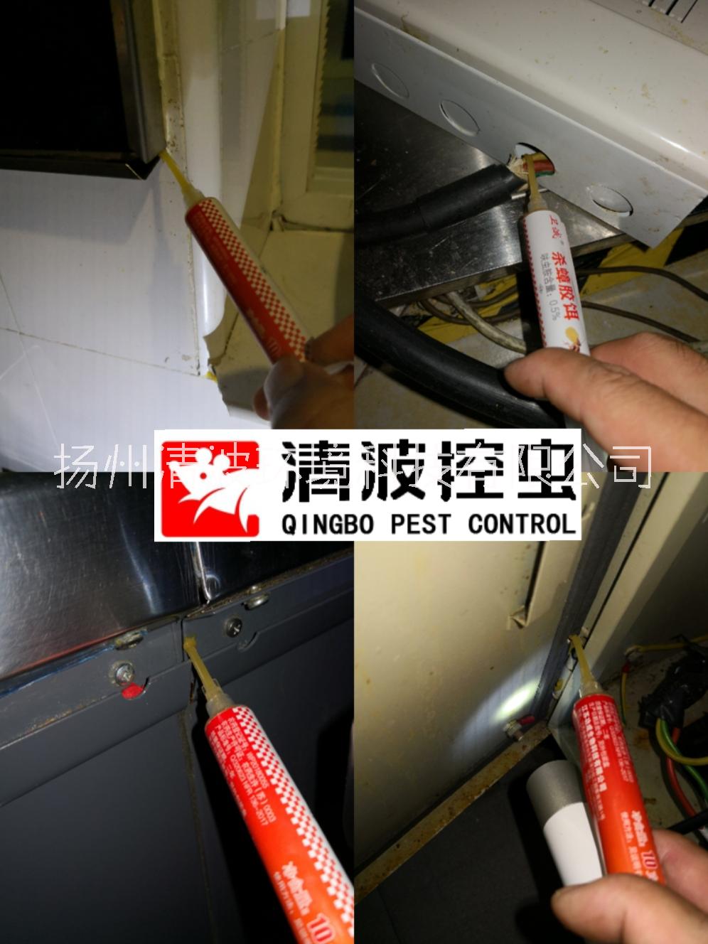 興化 泰興 靖江 滅蟑螂 殺蟑螂 滅蟑螂公司 殺蟑螂公司 除蟑螂公司 防蟑螂公司 專業(yè)防治公司 專業(yè)消殺服務(wù)
