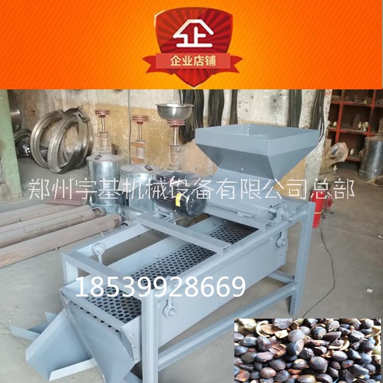 大型油桐果剝殼機(jī)生產(chǎn)廠家 專業(yè)生產(chǎn)油桐果脫皮機(jī)廠家地址